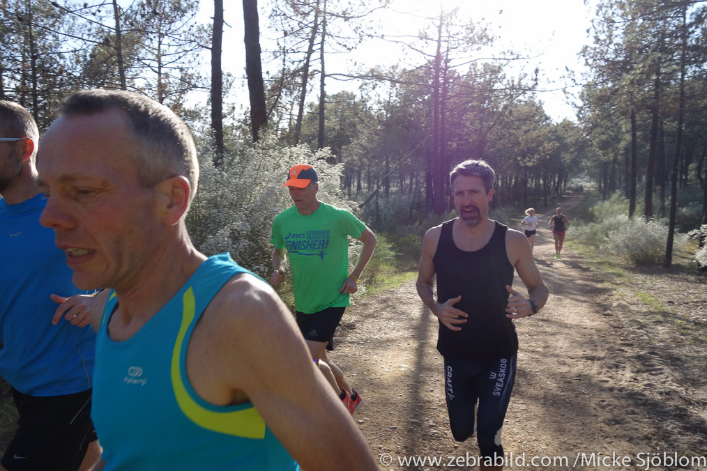 10 mars 2014