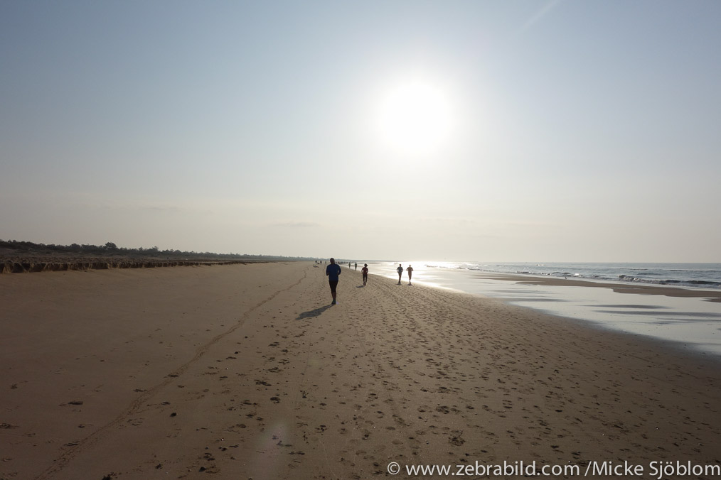 14 mars 2014