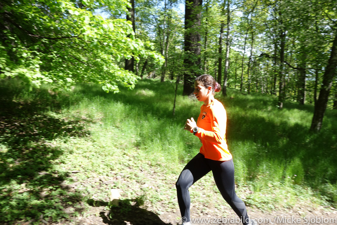 24 maj 2015